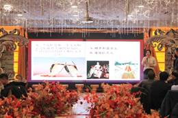 说明:D:\中钢马矿院\伟德国际BETVlCTORMBA\晚会\IMG_2738.JPG